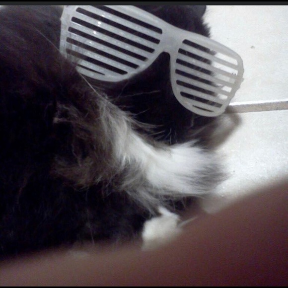 Meet your Posher, Lora - Picture 1 of 1